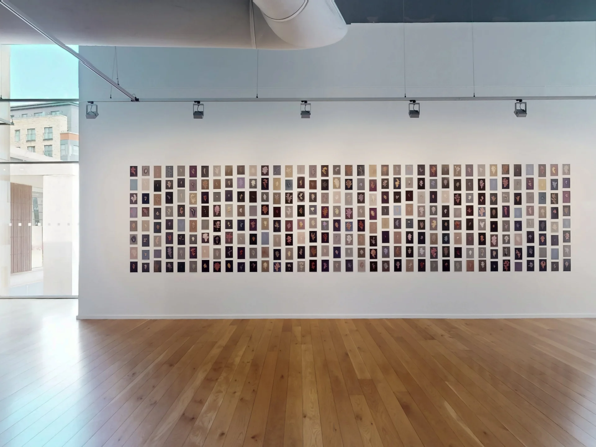 Clare Hewitt: Everything in the forest is the forest 3D Virtual Exhibition Tour