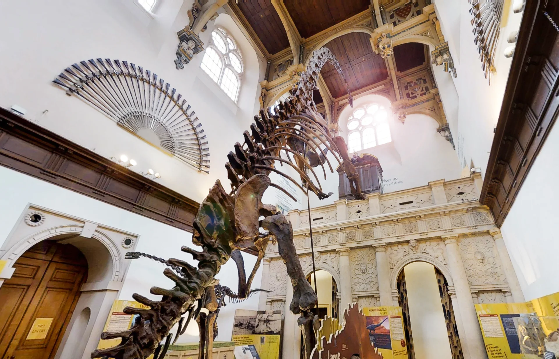 Dinosaurs of China - Ground Shakers To Feathered Flyers