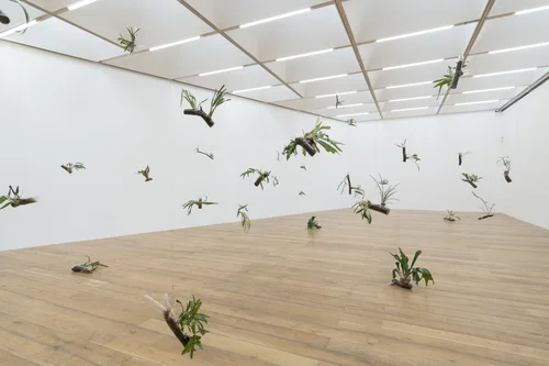 Daniel Steegmann Mangrané