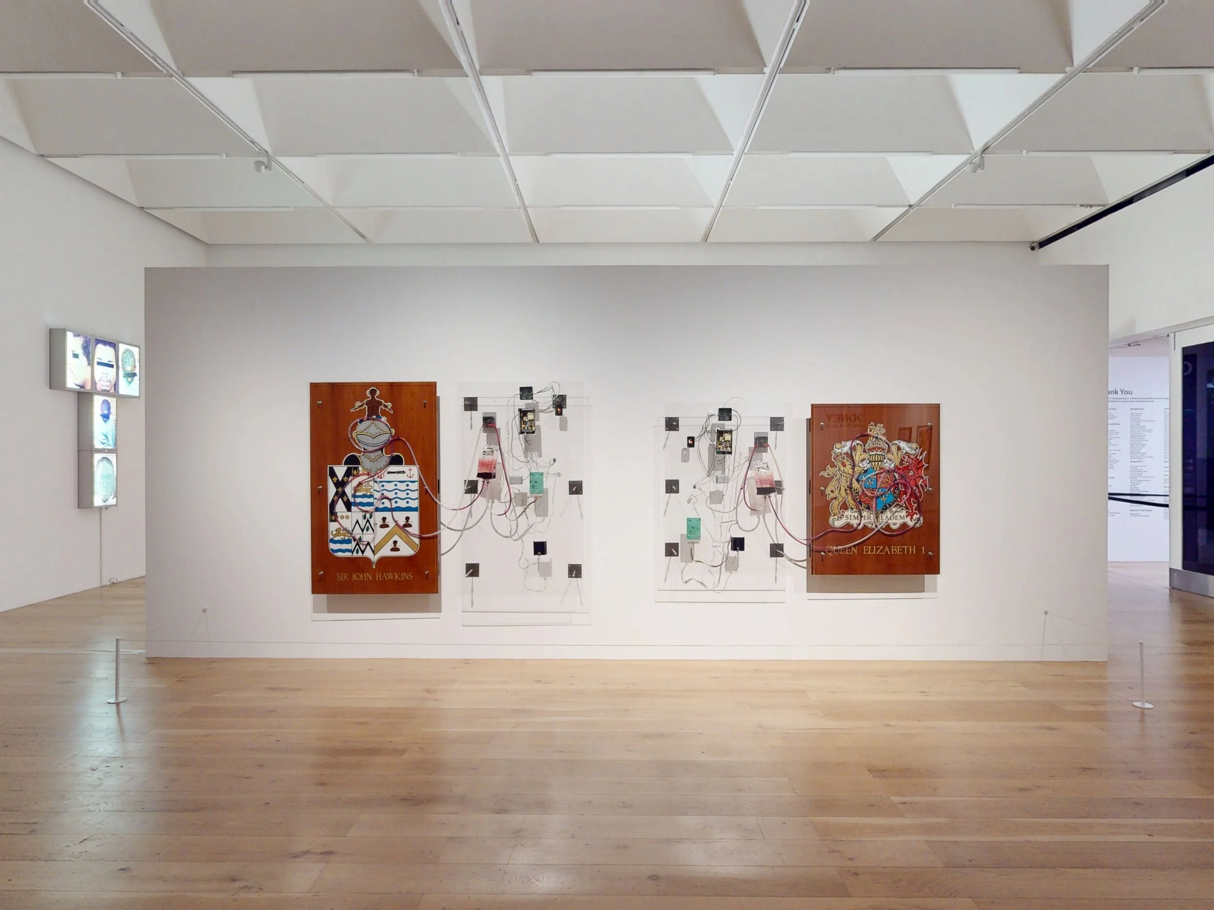 Donald Rodney: Visceral Canker