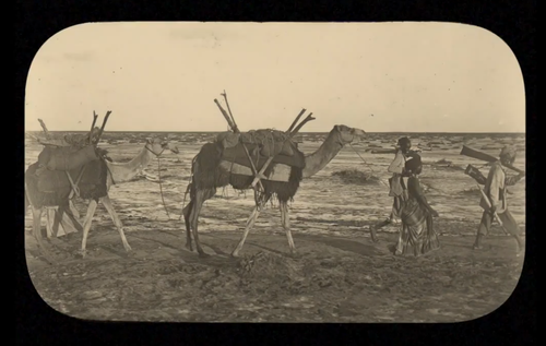 From Local To Global