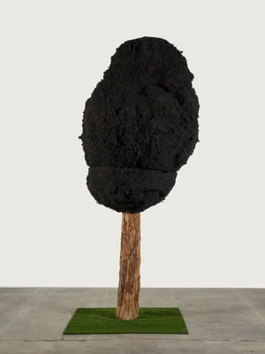 Henry Taylor. FROM SUGAR TO SHIT