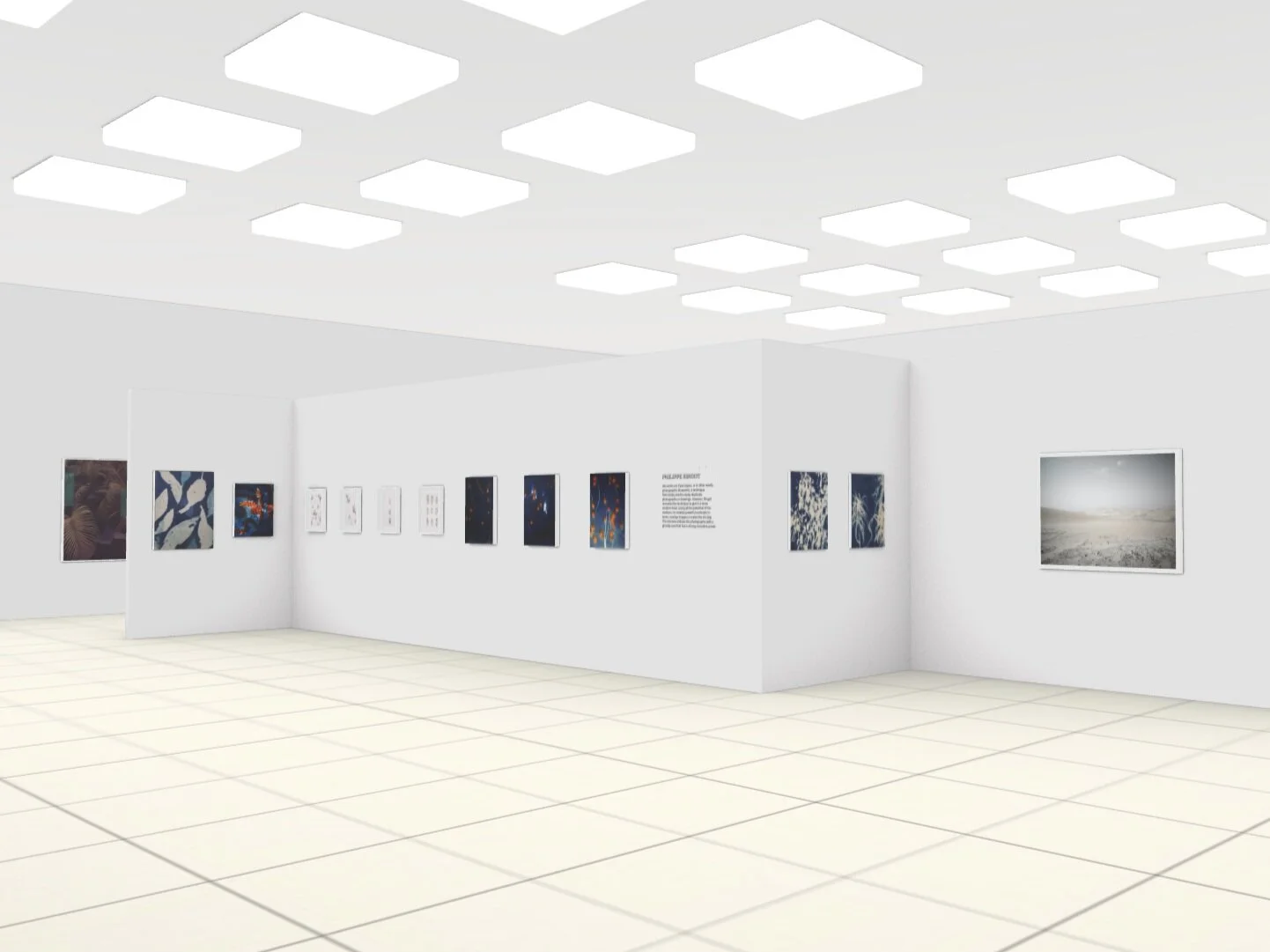 A Taste of Sunshine | Virtual Exhibition