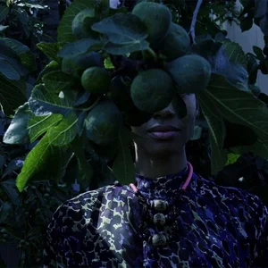 Laced: in Search of What Connects Us