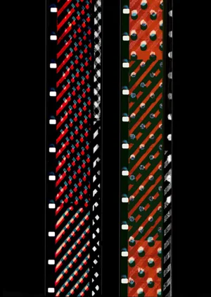 Lis Rhodes: Dissident Lines