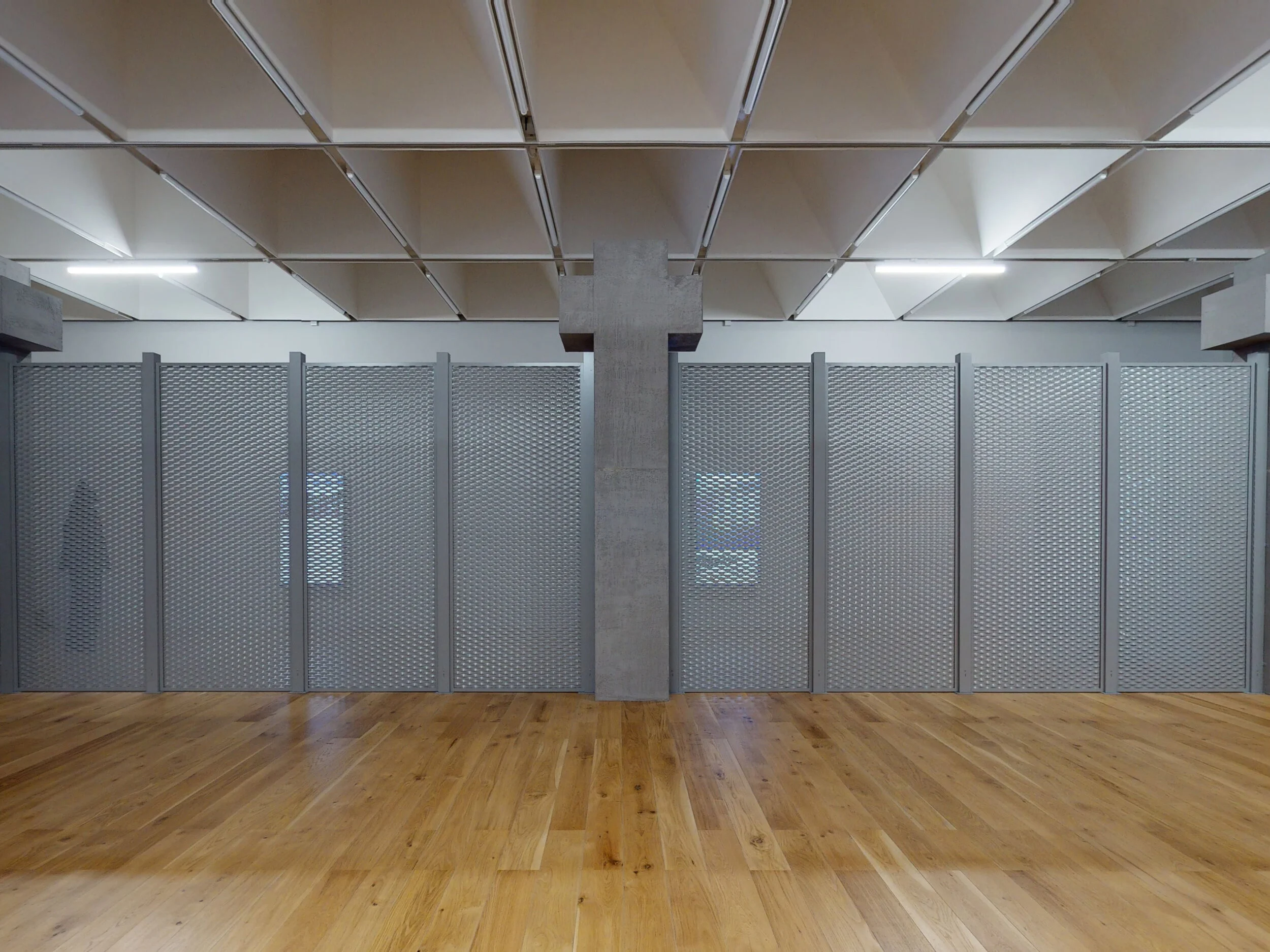 Sung Tieu: In Cold Print | Virtual Exhibition | Virtual Gallery