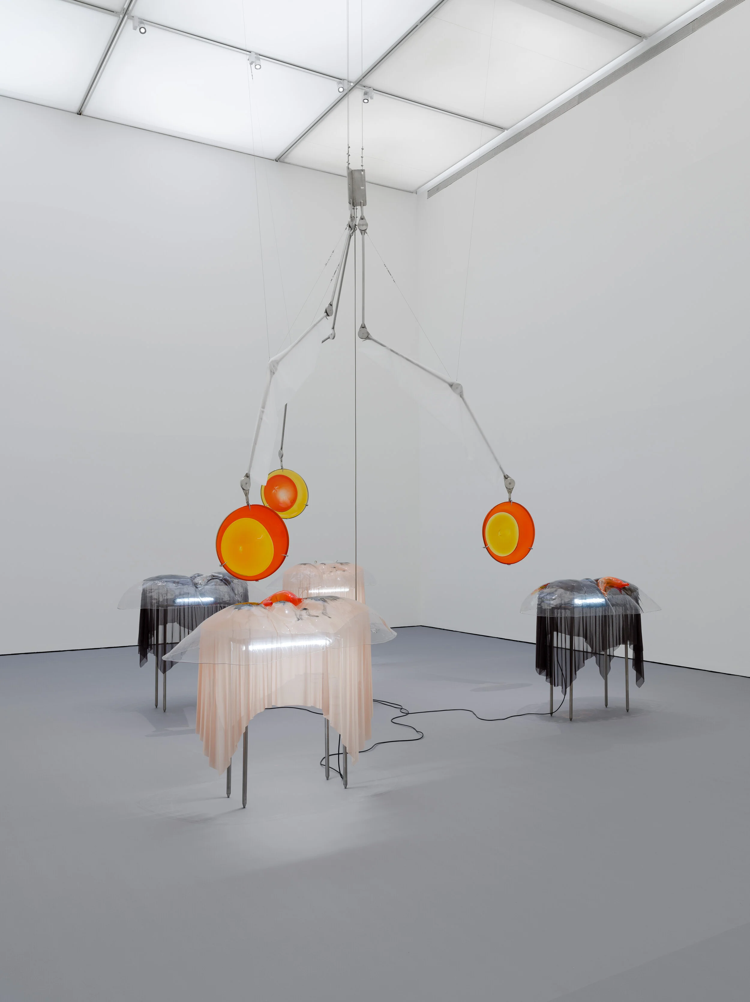 Pakui Hardware | Virtual Care Baltic Centre for Contemporary Art