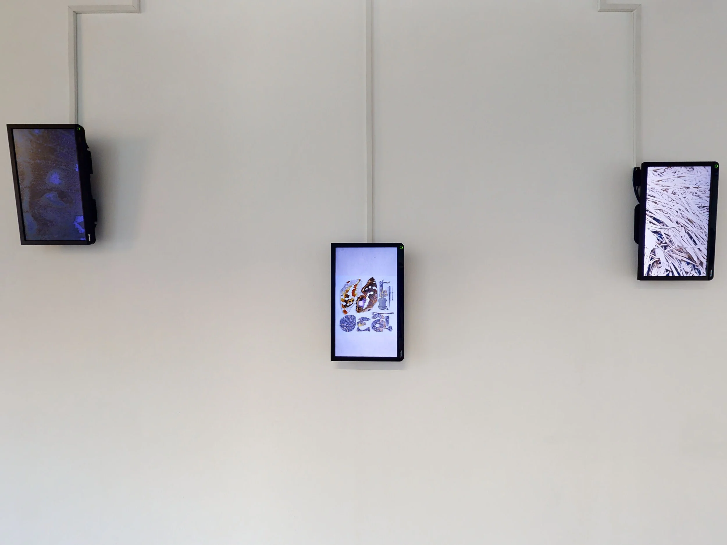 Tom K Kemp - Napoleon Complex Quad Gallery Virtual Exhibition | Virtual Gallery