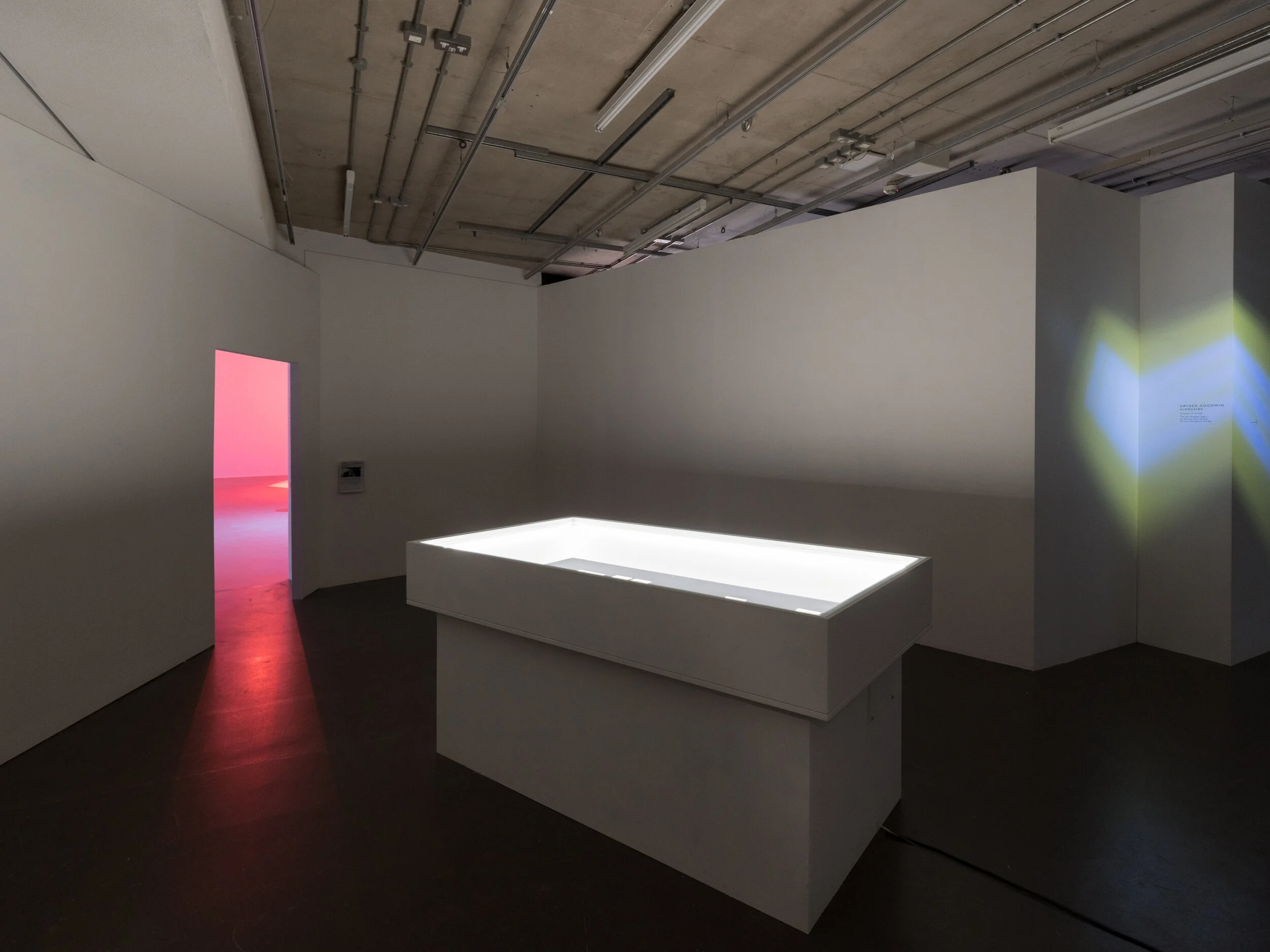 Dryden Goodwin | Alongside