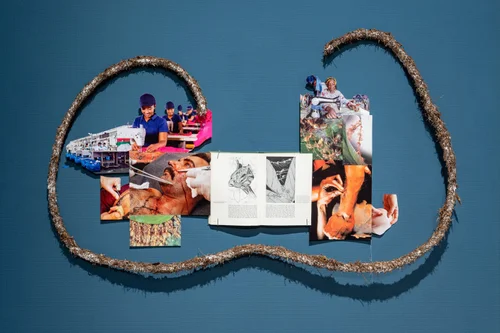 Feral Practice: The Ant-ic Museum