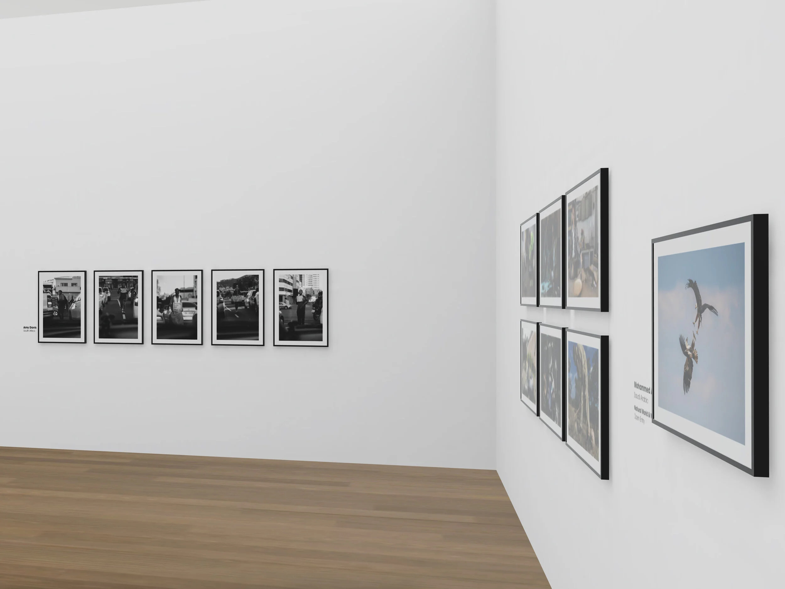 Sony World Photography Awards 2020 - Middle East and Africa Exhibition World Photography Organisation Virtual Exhibition | Virtual Gallery