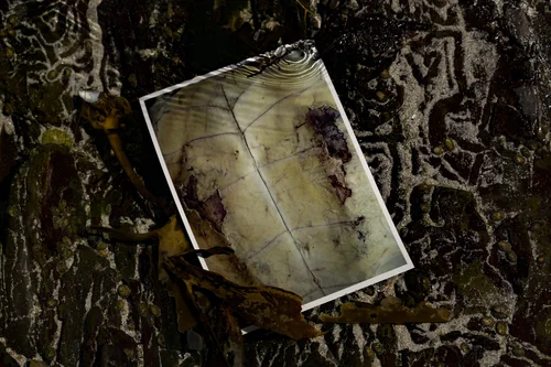 Sony World Photography Awards 2020 - Middle East and Africa Exhibition