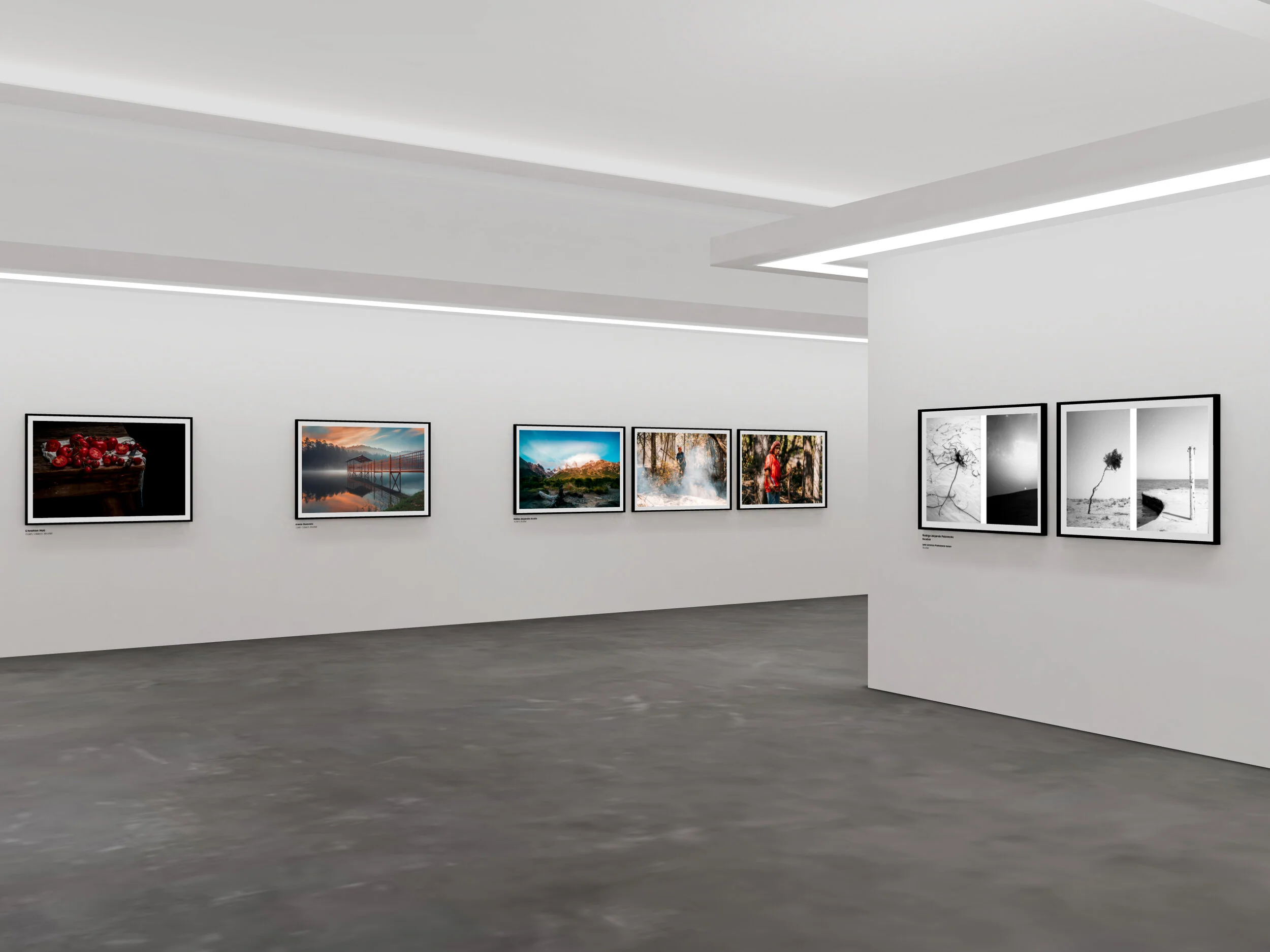 Sony World Photography Awards 2021 - Latin America Exhibition World Photography Organisation Virtual Exhibition, Virtual Gallery View © The Artists, Courtesy: World Photography Organisation Photo: V21 Artspace