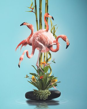 Sony World Photography Awards 2021 - Middle East & Africa