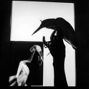 Sony World Photography Awards 2021