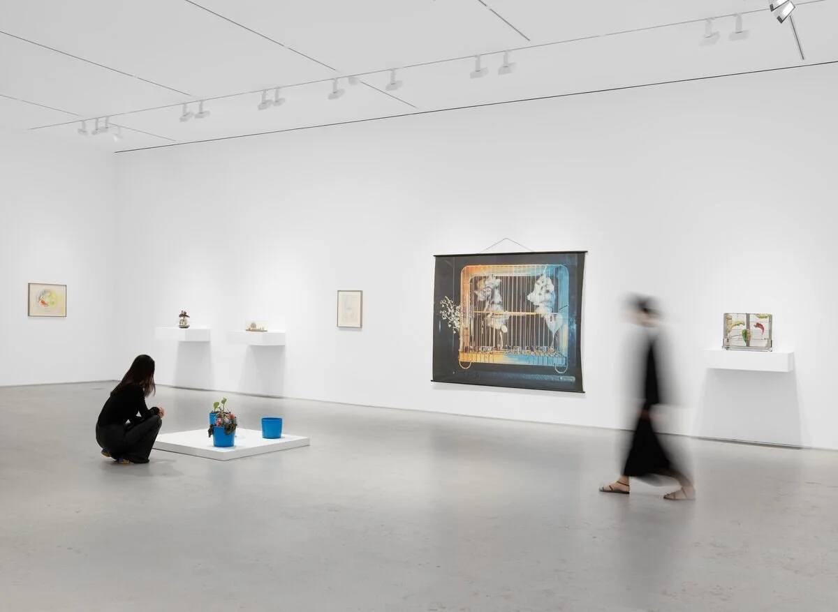 Tetsumi Kudo: Metamorphosis Hauser & Wirth New York, 22nd Street Installation View © 2021 Artists Rights Society (ARS), New York / ADAGP, Paris Photo: Thomas Barratt Virtual Exhibition | Virtual Gallery