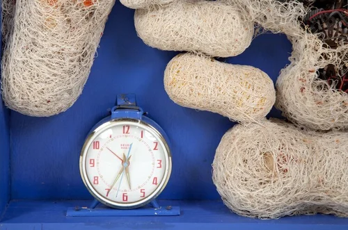 Tetsumi Kudo: Metamorphosis