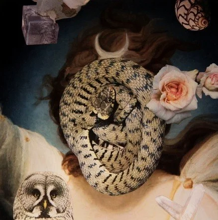 The House of Fame: Convened by Linder