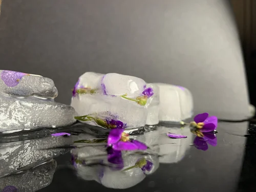 Through Our Lens: Growing up with Covid-19